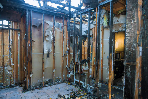 Professional Smoke Damage Removal technician working in Port Vue, PA